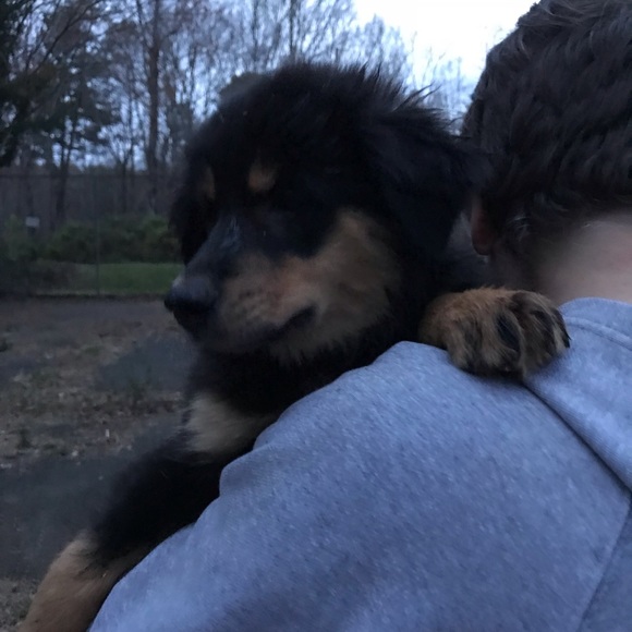 No Trades For Our Items; But We Will Take Offers! - Picture 8 of 8